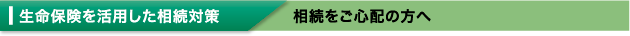 生命保険を活用した相続対策 相続をご心配の方へ