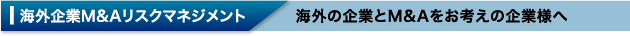 海外企業M＆Aリスクマネジメント 海外の企業とM&Aをお考えの企業様へ