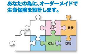 個人の生命保険