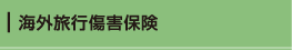 海外旅行傷害保険