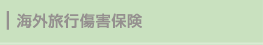 海外旅行傷害保険